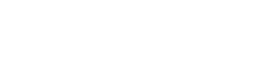cerberlift.com